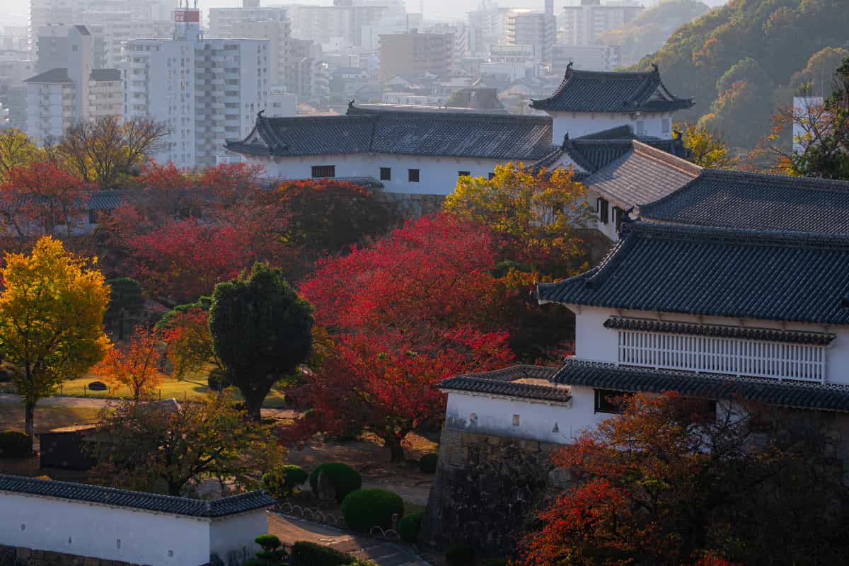 Quiet places. Loud colors.