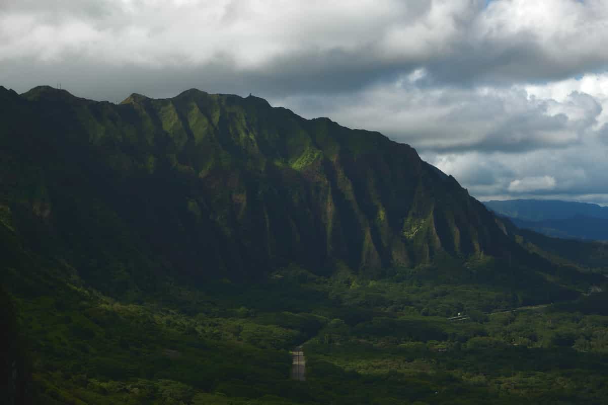 aloha