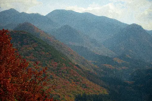 photo containing: Mountain, Mountainous landforms, Leaf, Hill, Green, Nature, Vegetation, Natural landscape, Highland, Cloud