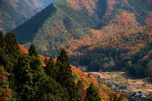 photo containing: Mountainous landforms, Mountain, Leaf, Nature, Hill, Natural landscape, Vegetation, Highland, Landscape, Ecoregion
