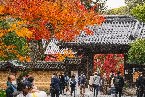 photo containing: Leaf, Spring, Leisure, Autumn, Twig, Travel, Japanese architecture, Vacation, Maple, Chinese architecture
