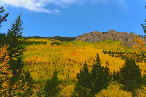 photo containing: Mountainous landforms, Mountain, Nature, Leaf, Yellow, Vegetation, Wilderness, Highland, Forest, Hill