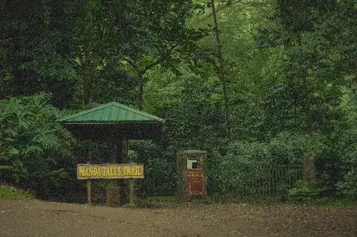photo containing: Natural environment, Forest, Nature reserve, Jungle, Rainforest, Woodland, Old-growth forest, Trail, Valdivian temperate rain forest, Park