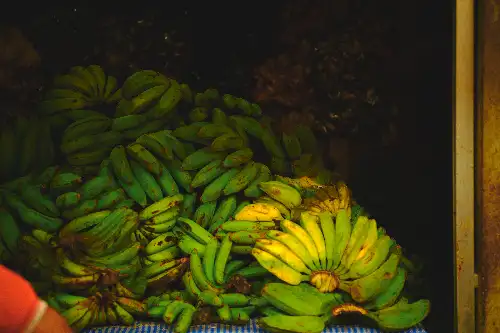 photo containing: Banana, Fruit, Natural foods, Produce, Cooking banana, Food, Bananas, Yellow, Matoke, Saba banana
