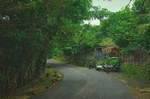 photo containing: Green, Nature, Leaf, Vegetation, Road, Road surface, Shrub, Asphalt, Thoroughfare, Lane
