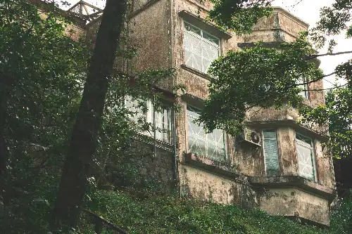 photo containing: Vegetation, Estate, Daylighting