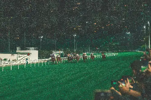 photo containing: Sports venue, Night, Race track, equestrian sport, High-rise building, Animal sports, Horse, Racing